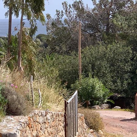 Villa Sea View Mesa Mpanta Káto Zákros Kültér fotó
